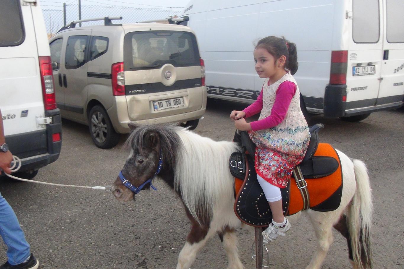 Midilli atı çocukların ilgi odağı oldu Midilli atı çocukların ilgi odağı oldu